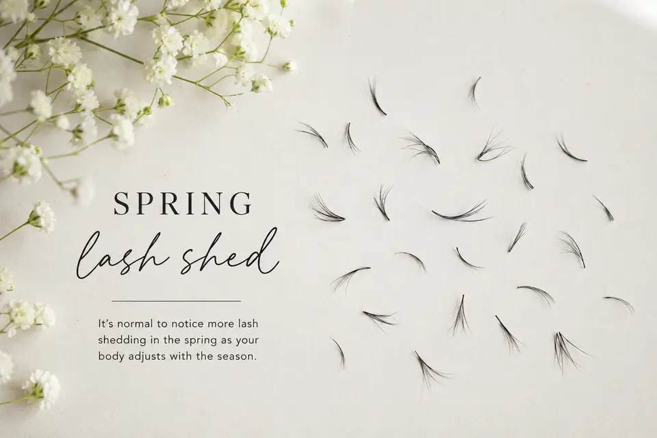 spring lash shed